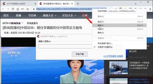 爆料获奖的视频下载软件,一网打尽全网热门视频，轻松下载无忧
